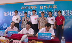 28圈(中国)官方网站