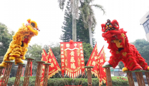 龙腾狮跃，共铸辉煌未来！