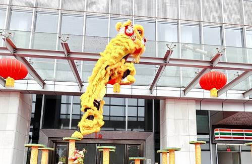 28圈官方网站国际新春盛启，雄狮之姿展未来！